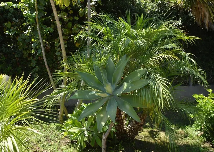 Rocco Vakantiehuis Àrbatax